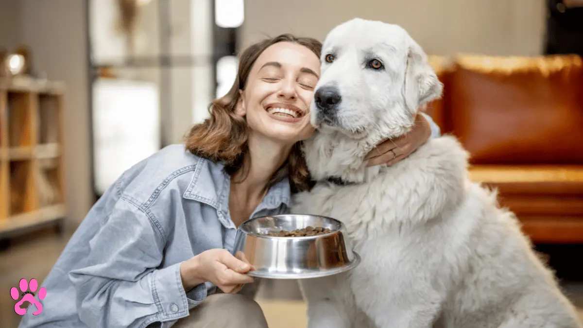 Orijen Dog Food Review2024: Is It the Best Option for Your Dog?