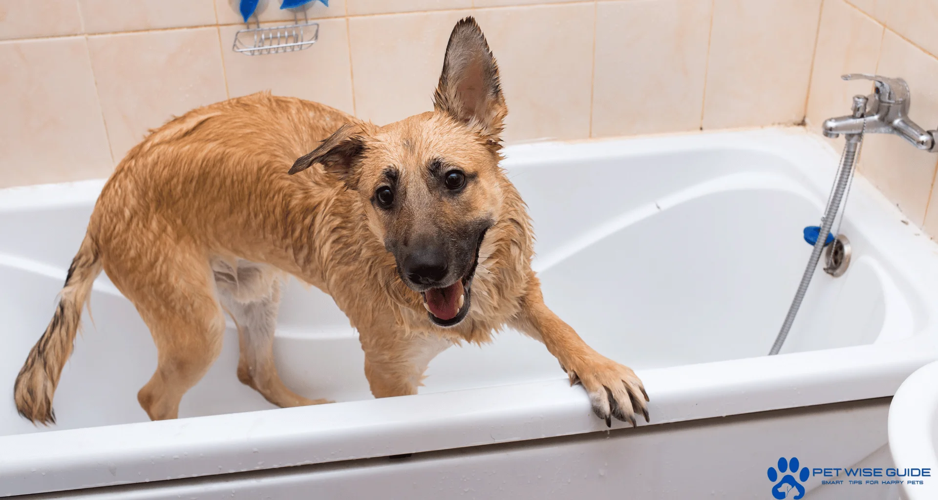  Drying and Post-Bath Care