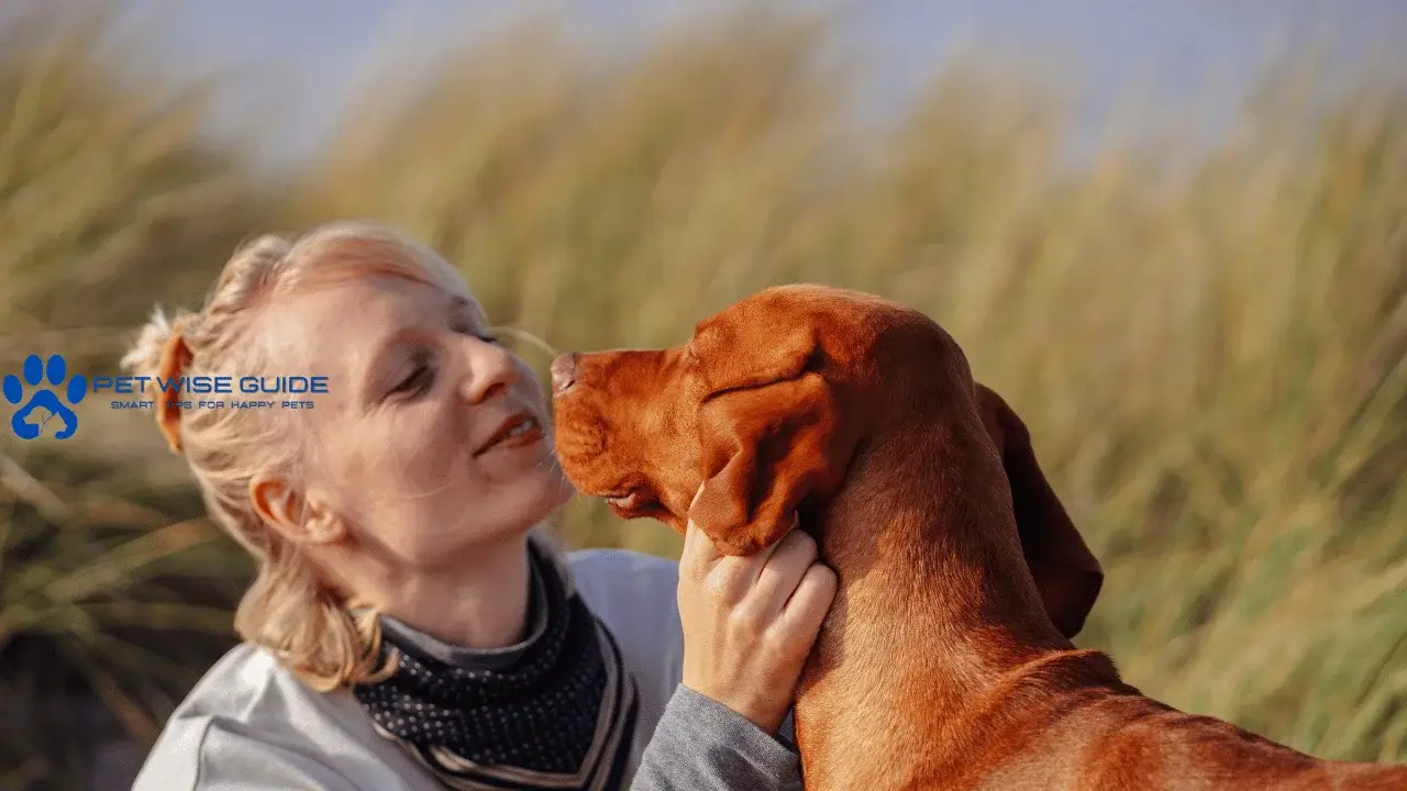 Dog Behavior Training Unlocking the Secret Language of Canine Minds